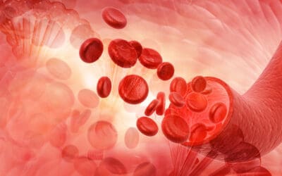 National Vascular Disease Awareness Month